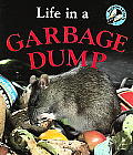 Life In A Garbage Dump Microhabitats