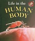 Life In A Human Body
