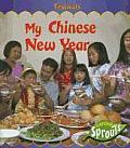 My Chinese New Year