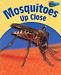 Mosquitoes Up Close