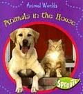 Animals In The House