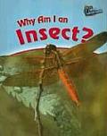 Why Am I An Insect