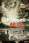 When Disaster Struck #1410: Pompeii Ad 79 Hardback
