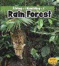 Living and Nonliving in the Rain Forest