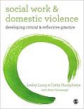 Social Work & Domestic Violence Developing Critical & Reflective Practice