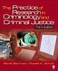 Practice of Research in Criminology & Criminal Justice 3rd Edition