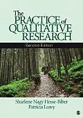 The Practice of Qualitative Research