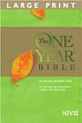 Bible Niv One Year Premium Slimline Large Print