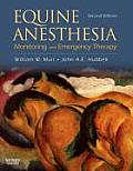 Equine Anesthesia: Monitoring and Emergency Therapy