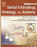 Dental Embryology, Histology, And Anatomy