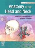 Illustrated Anatomy Of The Head & Neck