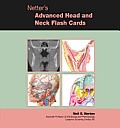 Netters Advanced Head & Neck Flash Cards