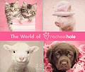 Cal08 Rachael Hale Page A Day