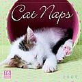 Cal09 Cat Naps