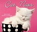 Cal09 Cat Naps Page A Day