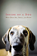 Inside of a Dog What Dogs See Smell & Know