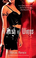 Rush of Wings Book One of the Makers Song