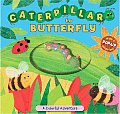 Caterpillar to Butterfly A Colorful Adventure