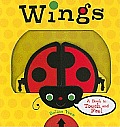Wings: A Book to Touch and Feel