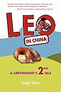 Leo in China: A Greyhound's 2nd Tale