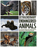 Extraordinary Endangered Animals