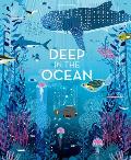 Deep in the Ocean: A Board Book