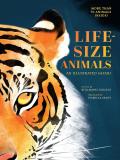 Life Size Animals An Illustrated Safari