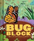 Bugblock An Abrams Block Book