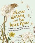 Slow Down & Be Here Now More Nature Stories to Make You Stop Look & Be Amazed by the Tiniest Things