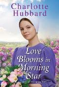 Love Blooms in Morning Star