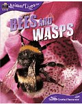 Animal Lives: Bees and Wasps