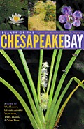Plants of the Chesapeake Bay A Guide to Wildflowers Grasses Aquatic Vegetation Trees Shrubs & Other Flora