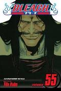 Bleach Volume 55