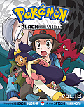Pokemon Black & White Volume 12