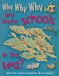 Why Why Why Are There Schools in the Sea