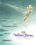 Disney Fairies The World of Fairies At the Dawn of Pixie Hollow