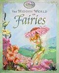 Hidden World Of Fairies