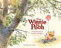 Disneys Winnie the Pooh A Celebration of the Silly Old Bear