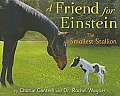 Friend for Einstein the Smallest Stallion