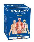 Anatomy Flash Cards Quick Study