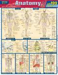 Anatomy Quizzer Laminated Reference