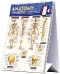 Anatomy & Nutrition for Body & Health Laminated Reference Easel