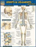 Joints & Ligaments Advanced