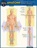 Anatomy - Directions, Planes, Movements & Regions: A Quickstudy Laminated Reference Guide