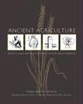 Ancient Agriculture Roots & Application of Sustainable Farming