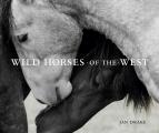 Wild Horses of the West