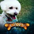 Casey