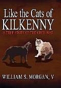Like the Cats of Kilkenny: A True Story of the Civil War