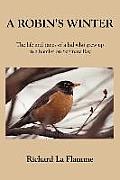 A Robin's Winter: The Life and Times of a Lad Who Grew Up in a Hamlet on Saginaw Bay