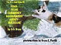 Fema-Feline Emergency Management Agency-Hurricane: 2- Books in One Series - Books One and Two